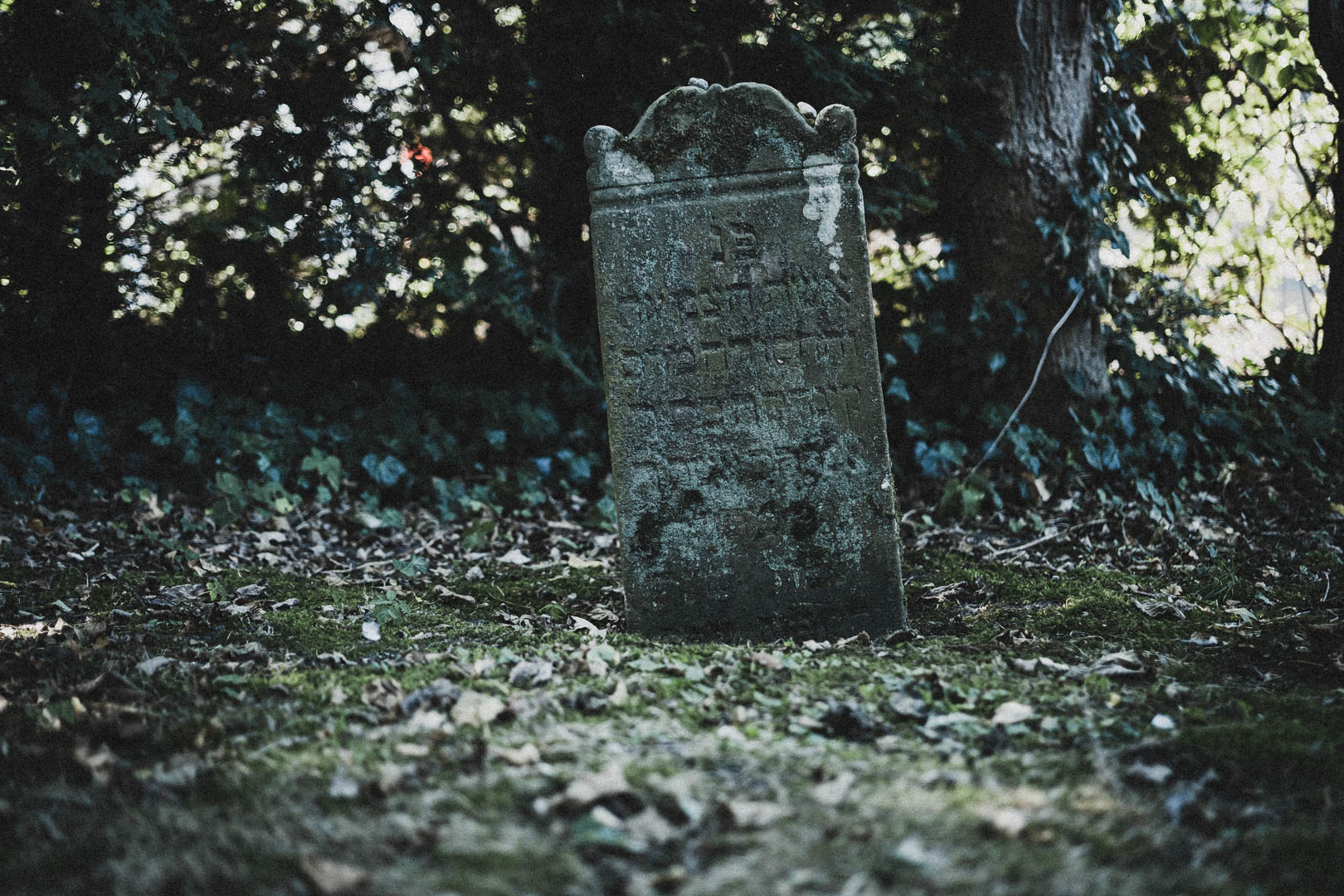Dornum, Jüdischer Friedhof